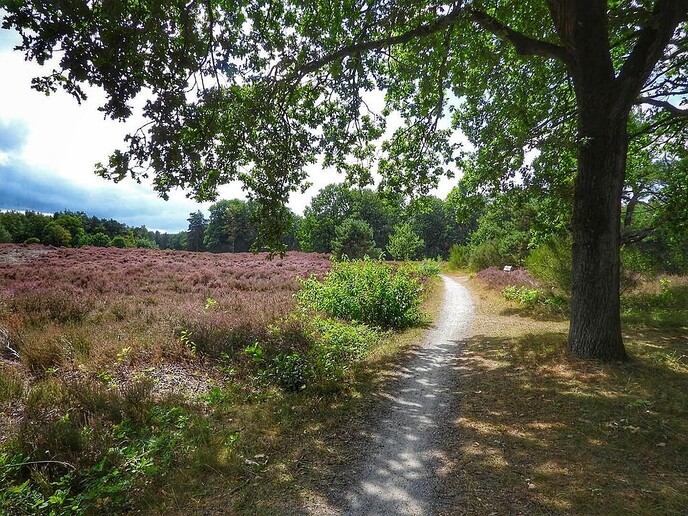 Regen: wat is dat ook alweer? - Foto: Femmie Smink