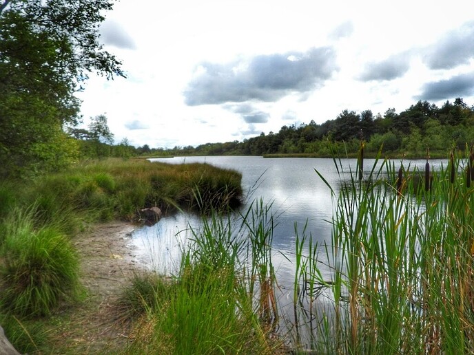Regen: wat is dat ook alweer? - Foto: Femmie Smink
