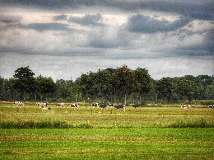 Fietsen en wandelen achter de Zonnehorst - Foto: Femmie Smink