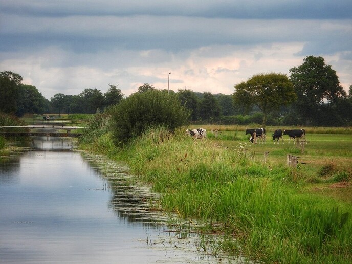 Fietsen en wandelen achter de Zonnehorst - Foto: Femmie Smink