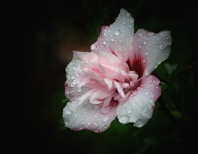 Een afwisselende serie foto’s van onze natuurfotograaf - Foto: Femmie Smink