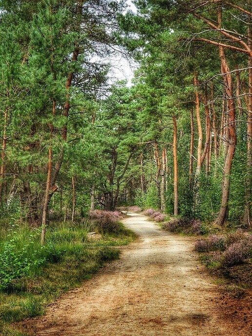 Een natuurbegraafplaats is echt niet saai - Foto: Femmie Smink
