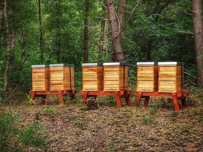 Een natuurbegraafplaats is echt niet saai - Foto: Femmie Smink