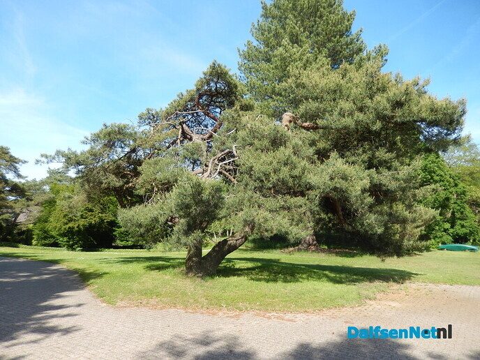 De camping - Foto: Willy
