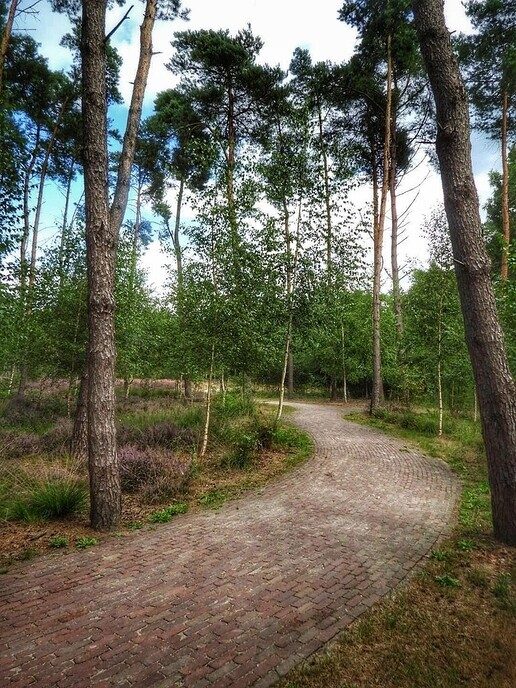 Een natuurbegraafplaats is echt niet saai - Foto: Femmie Smink