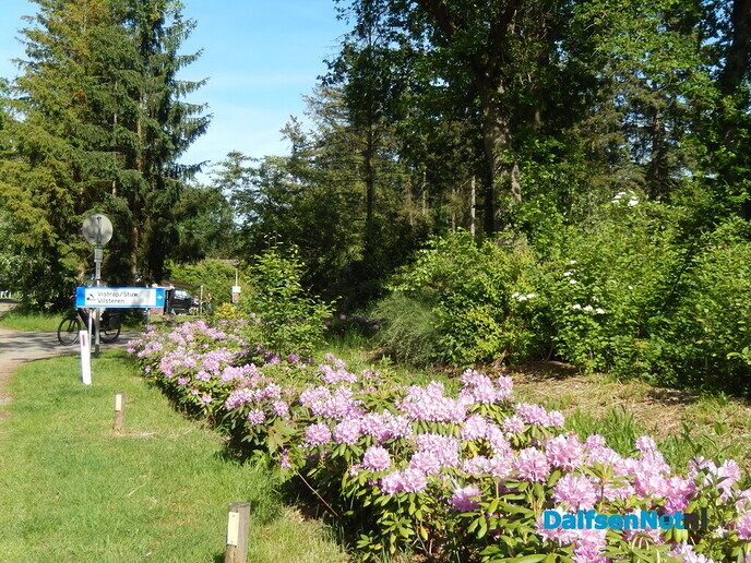 De camping - Foto: Willy