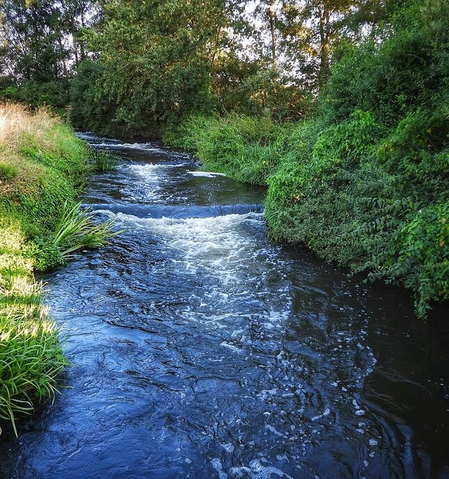 Natuurfotograaf bijt zich vast in de omgeving - Foto: Femmie Smink