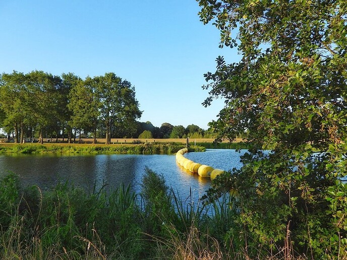 Natuurfotograaf bijt zich vast in de omgeving - Foto: Femmie Smink