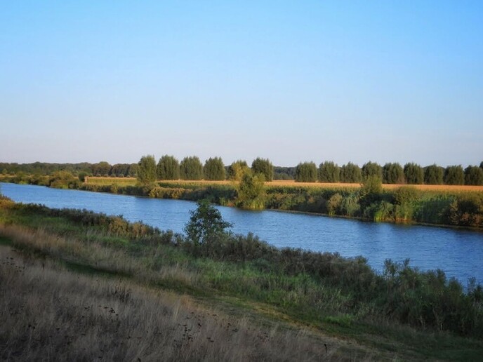 Natuurfotograaf bijt zich vast in de omgeving - Foto: Femmie Smink