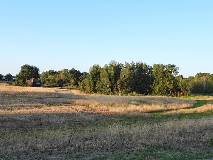 Natuurfotograaf bijt zich vast in de omgeving - Foto: Femmie Smink