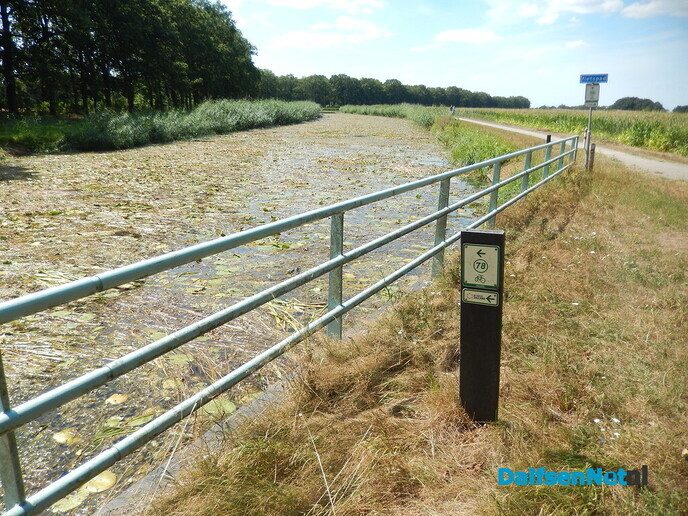 Overijsselkanaal op sommige plekken behoorlijk dichtgeslibd - Foto: Willy