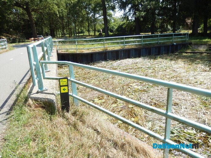 Overijsselkanaal op sommige plekken behoorlijk dichtgeslibd - Foto: Willy