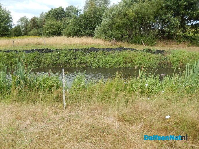 Als de kippen erbij - Foto: Willy