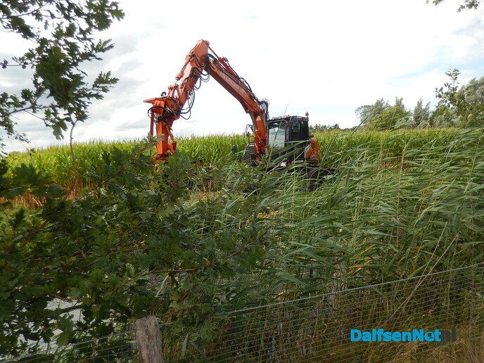 Als de kippen erbij - Foto: Willy
