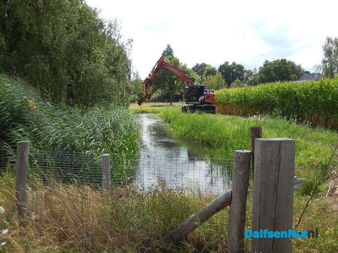 Als de kippen erbij - Foto: Willy