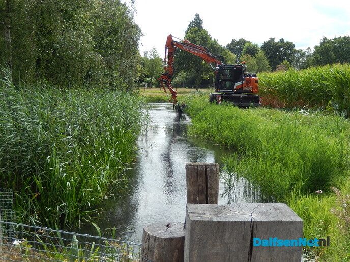 Als de kippen erbij - Foto: Willy