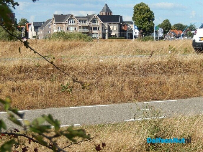 Zo maar even vanaf de Poppenallee - Foto: Willy