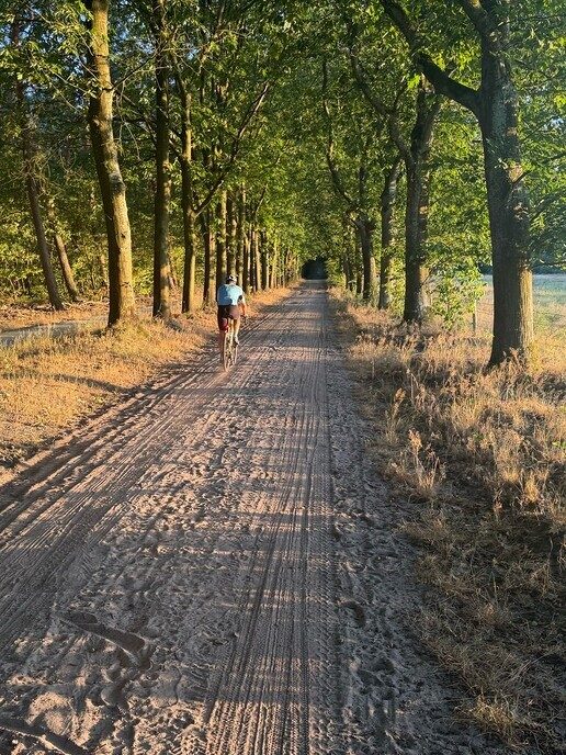 Deelnemers uit Dalfsen en omgeving gezocht - Foto: Ingezonden foto
