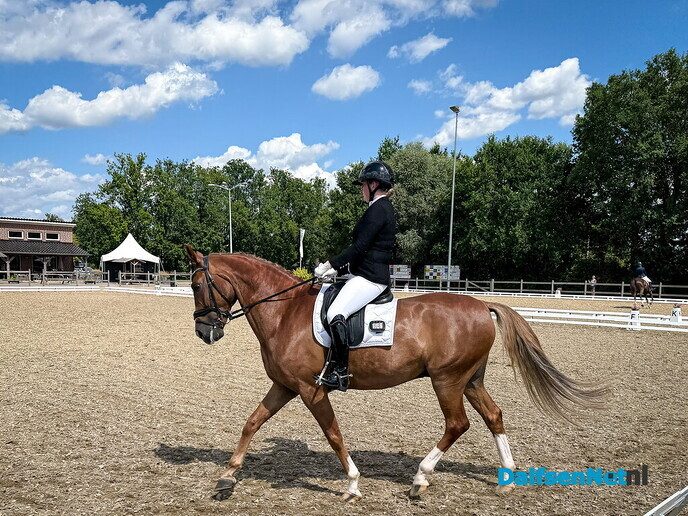 Paardendressuur: elegantie en uitstraling! - Foto: Ruud Montagne