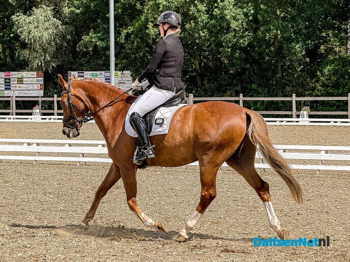 Paardendressuur: elegantie en uitstraling! - Foto: Ruud Montagne