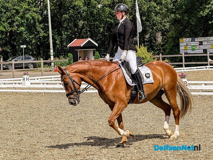 Paardendressuur: elegantie en uitstraling! - Foto: Ruud Montagne