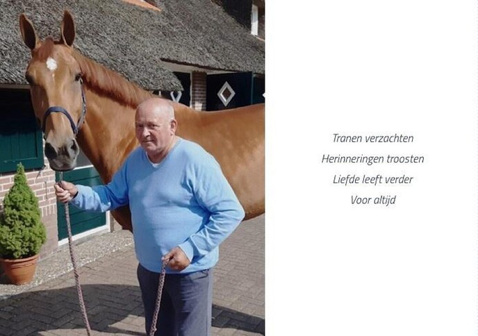Familieberichten