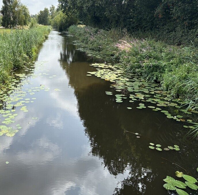 “Er is weer wat lucht” en water! - Foto: Ingezonden foto