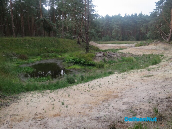 Vanaf Hoonhorst struinen door de bossen - Foto: Wim