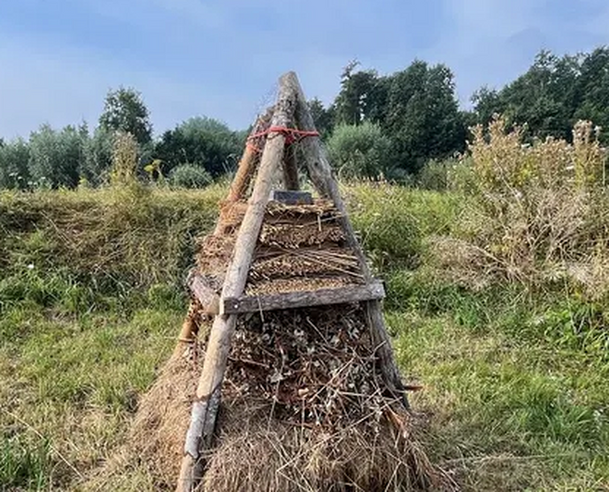 Wat is een bijenruiter?