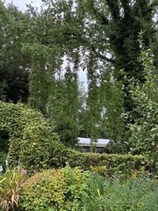 Zonnebloem deelnemers op pad - Foto: Ingezonden foto