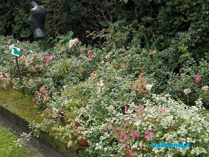 Zonnebloem deelnemers op pad - Foto: Ingezonden foto