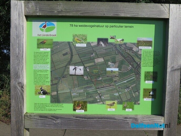 Vanmorgen weer een mooie wandeling voorbij Laag Zuthem - Foto: Wim