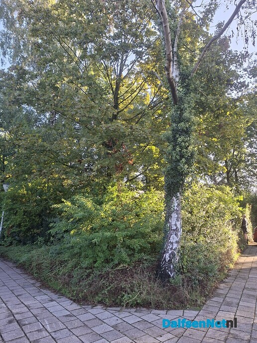 Kaalslag rond verdeelstation