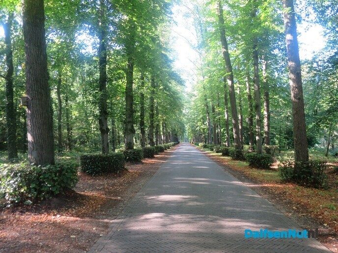 Vanmorgen weer een mooie wandeling voorbij Laag Zuthem - Foto: Wim