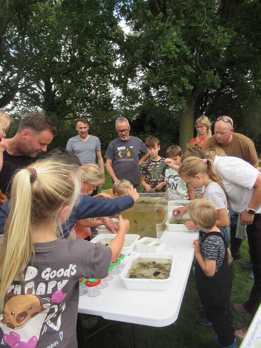 Wonderlijke Waterwereld - Foto: Ingezonden foto
