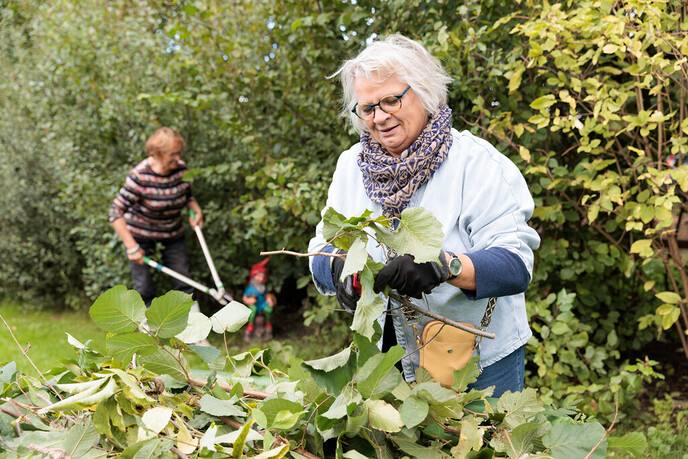Subsidie voor lokale initiatieven - Foto: Ingezonden foto