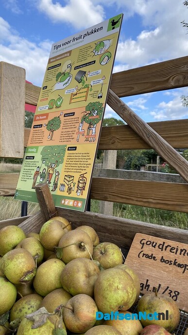 Vers geplukt fruit in de Heinose boomgaard
