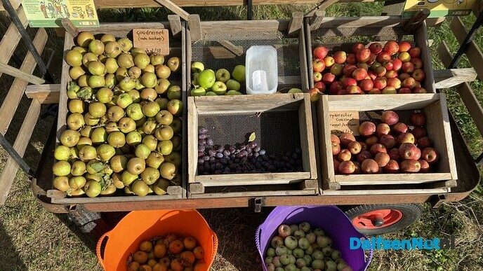 Vers geplukt fruit in de Heinose boomgaard - Foto: Ingezonden foto
