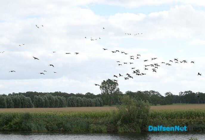 PLINQ Loopfestijn zorgt voor sportieve drukte in Dalfsen - Foto: Johan Bokma