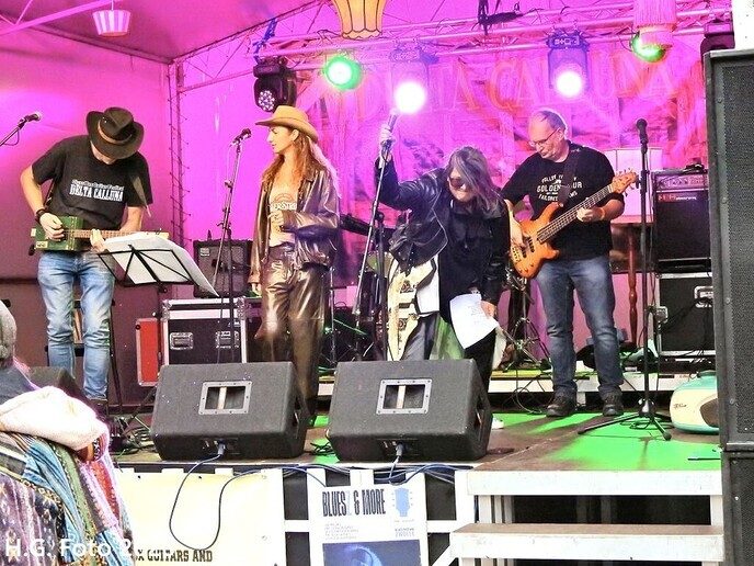 Sigarbox guitar festival bij Delta Calluna.