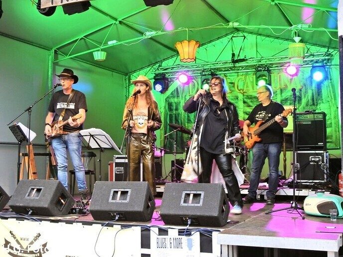 Sigarbox guitar festival bij Delta Calluna.
