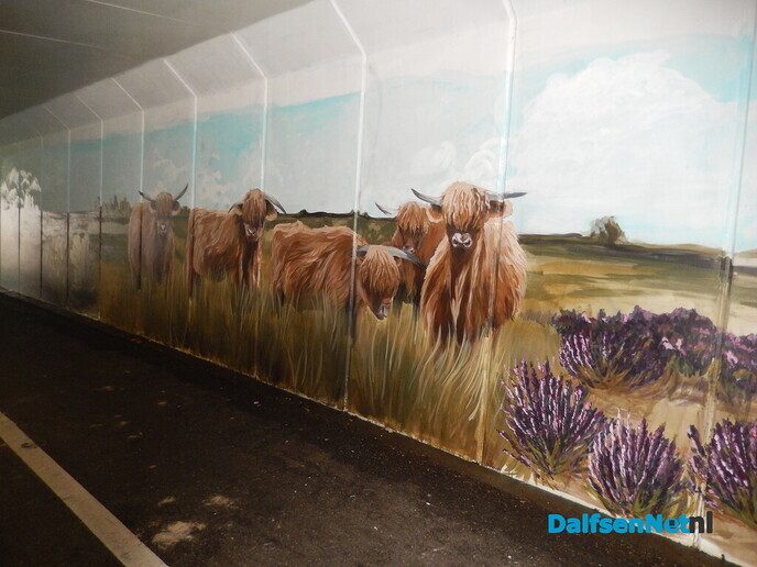 Fietstunnel Ankum krijgt steeds meer kleur - Foto: Willy