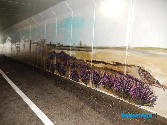 Fietstunnel Ankum krijgt steeds meer kleur - Foto: Willy