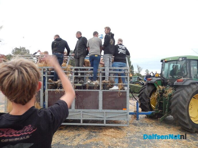Geen strobreed in de weg - Foto: Willy