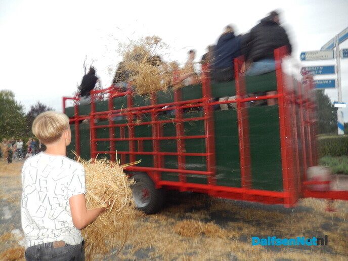 Geen strobreed in de weg - Foto: Willy