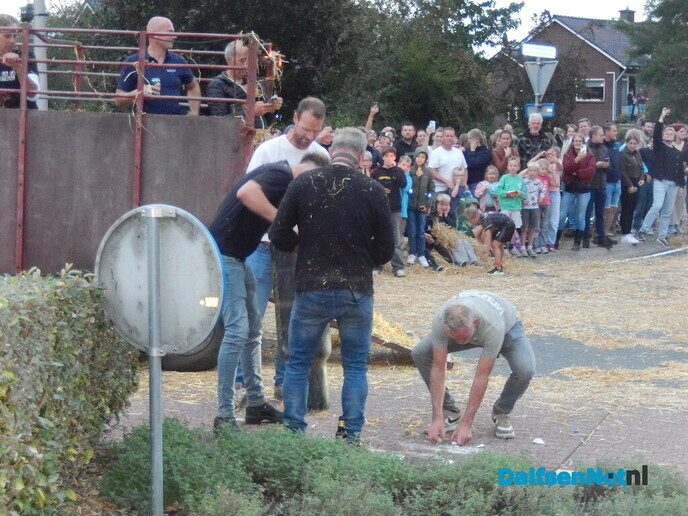 Geen strobreed in de weg - Foto: Willy