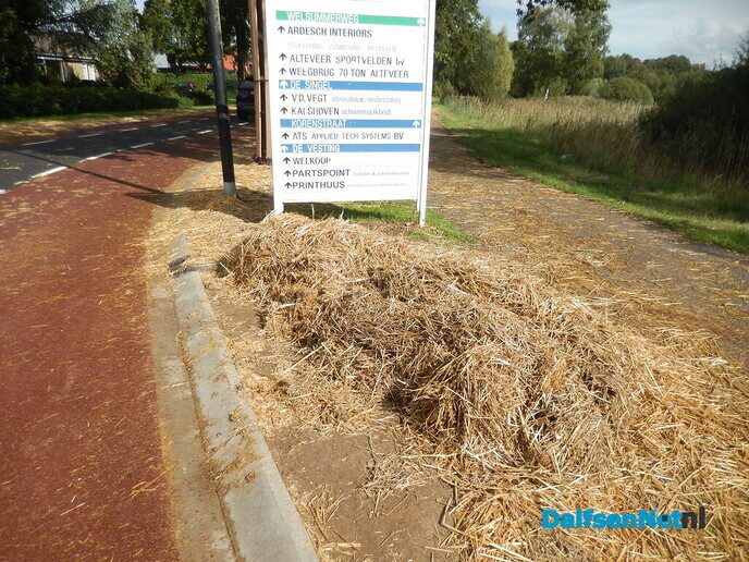Alles weer bijna normaal in Dalfsen - Foto: Willy