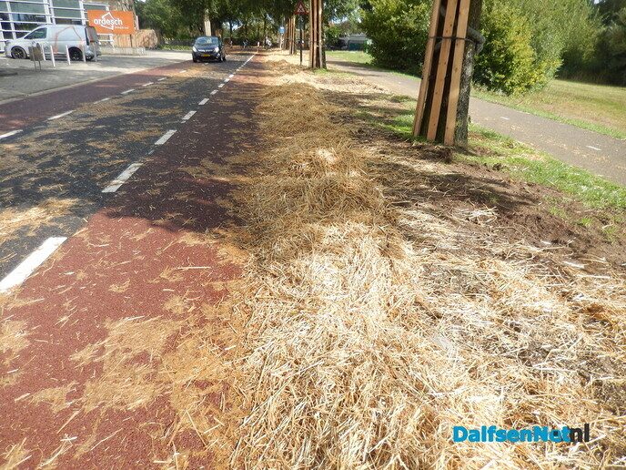 Alles weer bijna normaal in Dalfsen - Foto: Willy