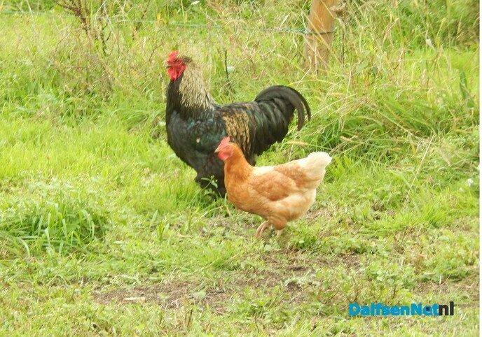 Ontdek hoe biodiversiteit begint bij de kweker - Foto: Willy