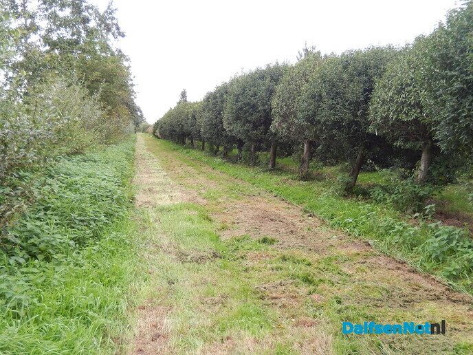Ontdek hoe biodiversiteit begint bij de kweker - Foto: Willy